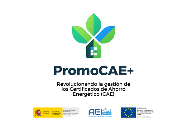 PromoCAE_Thumbnail_Pagina-Proyecto-2